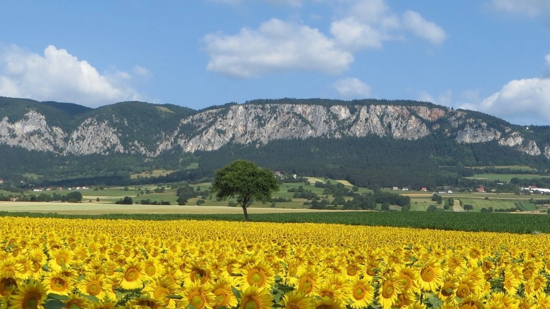 Ansicht von Gemeinde Hohe Wand