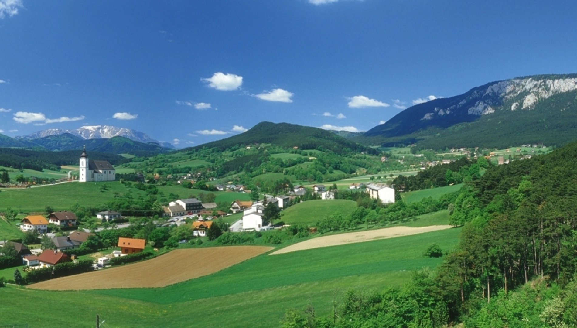 Ansicht von Gemeinde Höflein an der Hohen Wand